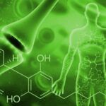 Cannabinoides y sistema endocannabinoide