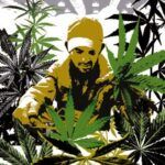 Diccionario de marihuana