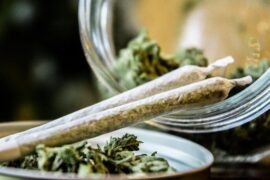 Es adicitiva la marihuana