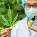 Marihuana para el tratamiento del cáncer