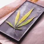 Variedades de marihuana para amantes del chocolate