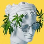 Cepas de marihuana para incrementar la creatividad