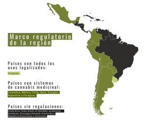 Marco regulatorio del cannabis en Latinoamérica