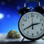 Mejores cepas de marihuana para el insomnio