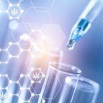 Estudios cientificos sobre cannabis