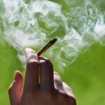 Cuánto tiempo permanece la marihuana en tu sistema