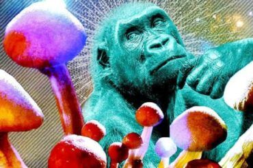 Teoría del mono dopado