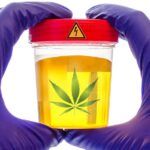 Test de marihuana
