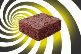 Receta de queque de marihuana (space cake): Ingredientes y paso a paso Receta de queque de marihuana - Weed Magazine