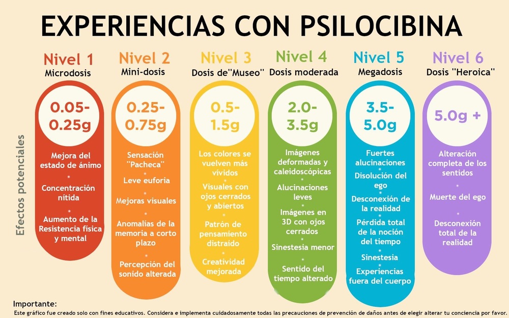 Dosis y experiencias con psilocibina