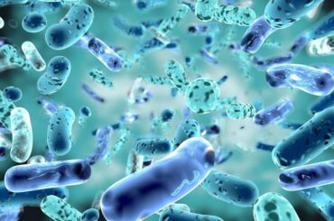 Microbioma y psicodélicos