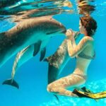 Nado con delfines en Isla Mujeres