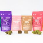 Cannabis legal en Suiza