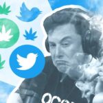 Elon Musk Cannabis