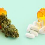 Puede el cannabis reemplazar a los opioides como tratamiento del dolor