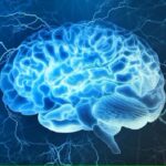 Qué es la neurociencia