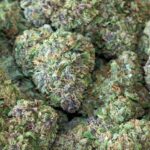 Flores de CBD
