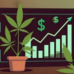 Consejos para mejorar negocio de cannabis