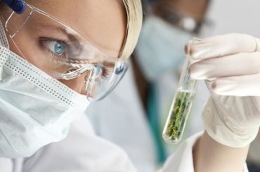 Estudios científicos sobre el cannabis