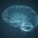 Ketamina en el cerebro