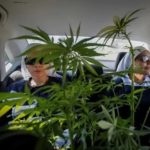 Las monjas de la marihuana