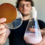 Yogurt con Psicobióticos