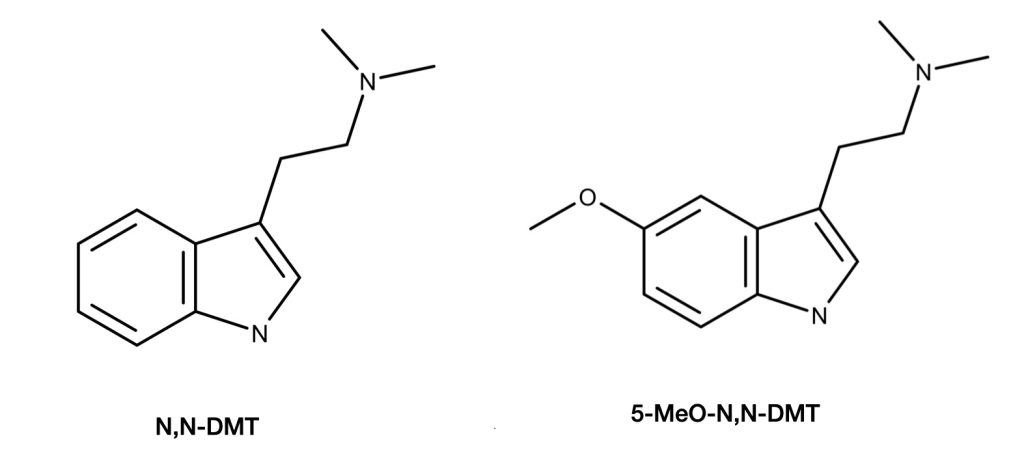 N, N-DMT y 5-MeO-N, N-DMT