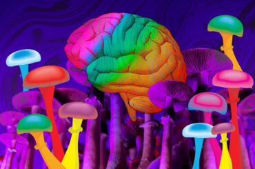 Psicodelicos y antidepresivos