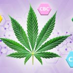 Cannabinoides