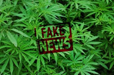 Fake news cannabis