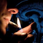 Consumo de cannabis y función cerebral