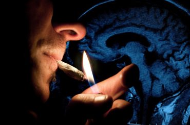 Consumo de cannabis y función cerebral