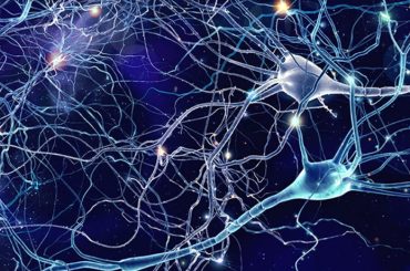 Conectividad cerebral