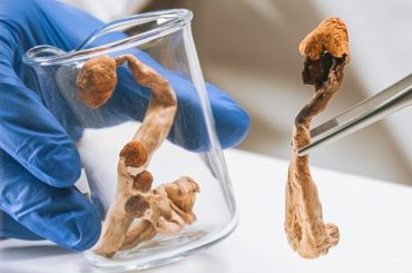 Dosis y efectos con psilocibina