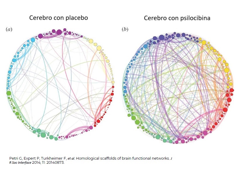 Placebo vs. psilocibina