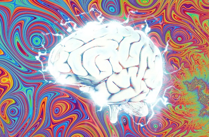 DMT y percepción: Un viaje neurocientífico a los estados alterados de conciencia DMT y conciencia