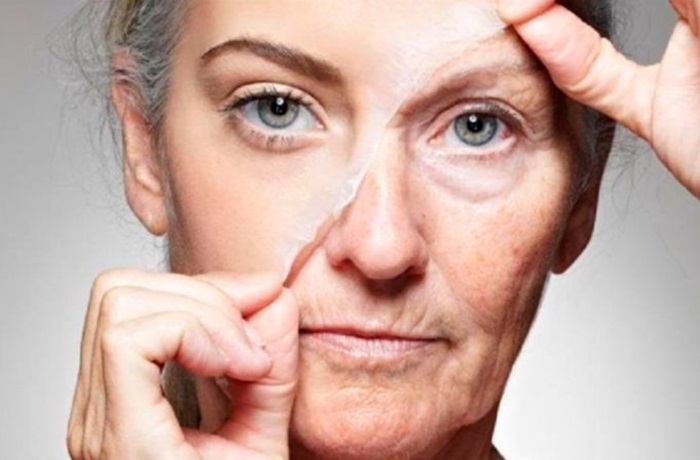 Estudio demuestra cómo la psilocibina retrasa el envejecimiento celular y prolonga la vida Geroproteccion