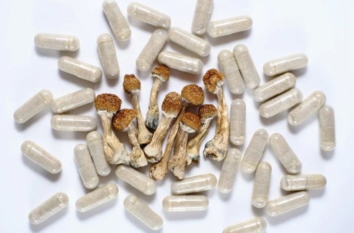 Psilocibina natural vs. sintética: Comparativa y análisis del «efecto séquito» Psilocibina natural vs sintética