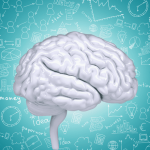 Las tres grandes redes cerebrales