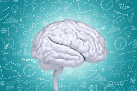 ¿Cómo el cerebro organiza nuestra conciencia? El modelo de las tres grandes redes Las tres grandes redes cerebrales