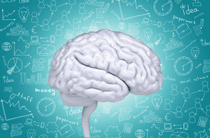 ¿Cómo el cerebro organiza nuestra conciencia? El modelo de las tres grandes redes Las tres grandes redes cerebrales