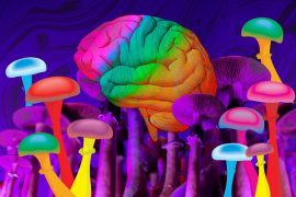 Antidepresivos y psicodélicos