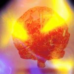 Ilustración anatómica de la glándula pineal en el cerebro humano, con su forma característica de piña