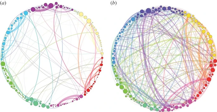 Andamios homológicos de persistencia del cerebro con placebo y con psilocibina según Petri y colaboradores en 2014