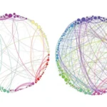 Andamios homológicos de persistencia del cerebro con placebo y con psilocibina, la figura de Petri y colaboradores de 2014