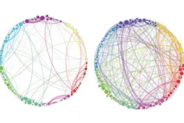 Andamios homológicos de persistencia del cerebro con placebo y con psilocibina, la figura de Petri y colaboradores de 2014