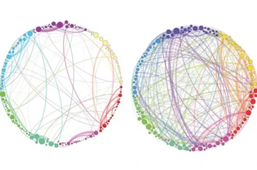 Andamios homológicos de persistencia del cerebro con placebo y con psilocibina, la figura de Petri y colaboradores de 2014